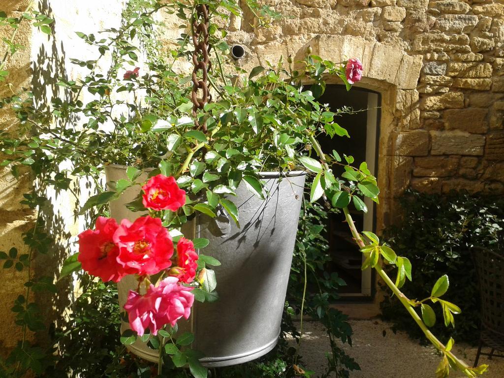 Guesthouse De Cambis B&B Remoulins Esterno foto